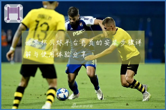 世界杯买球平台首页的安装步骤详解与使用体验分享