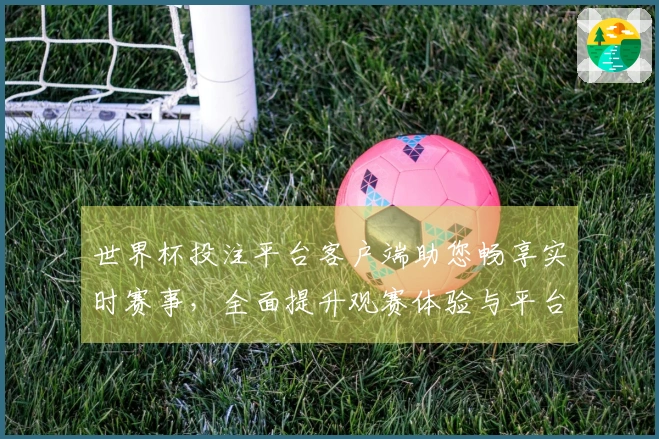 世界杯投注平台客户端助您畅享实时赛事，全面提升观赛体验与平台功能简介