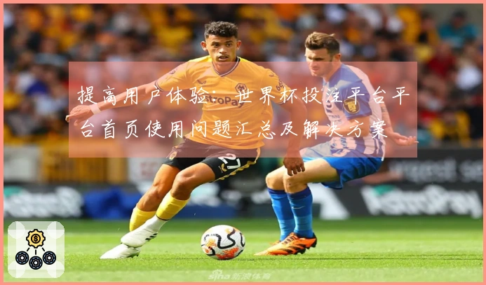 提高用户体验：世界杯投注平台平台首页使用问题汇总及解决方案