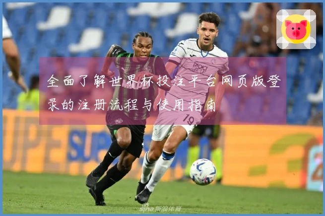 全面了解世界杯投注平台网页版登录的注册流程与使用指南