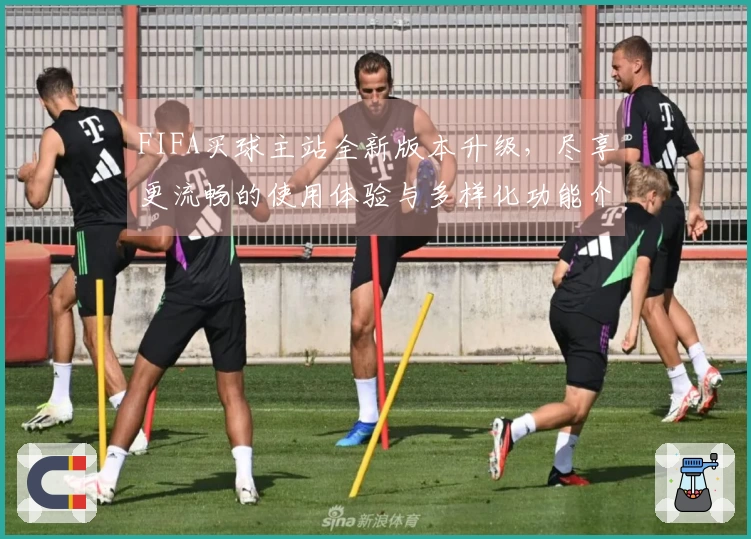 FIFA买球主站全新版本升级,尽享更流畅的使用体验与多样化功能介绍