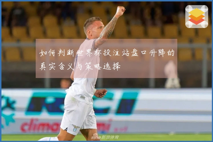 如何判断世界杯投注站盘口升降的真实含义与策略选择