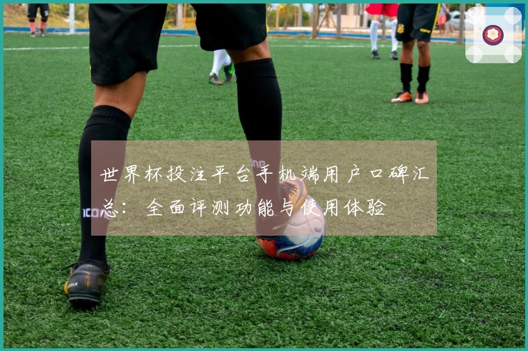 世界杯投注平台手机端用户口碑汇总：全面评测功能与使用体验