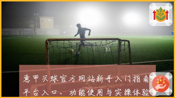 意甲买球官方网站新手入门指南：平台入口、功能使用与实操体验全解析