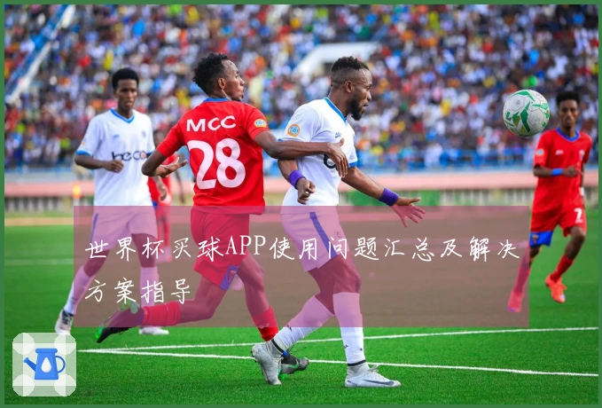 世界杯买球APP使用问题汇总及解决方案指导