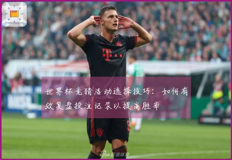 世界杯竞猜活动选择技巧：如何有效复盘投注记录以提高胜率