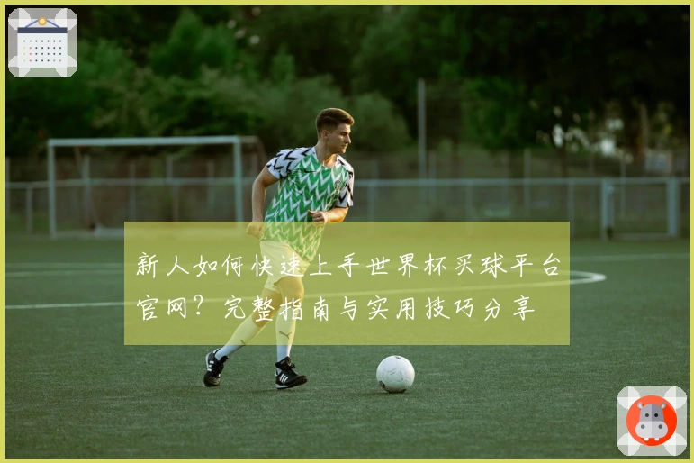 新人如何快速上手世界杯买球平台官网？完整指南与实用技巧分享