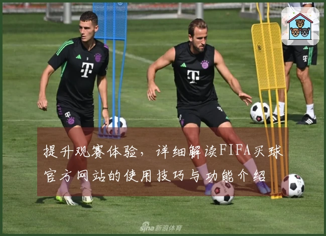 提升观赛体验，详细解读FIFA买球官方网站的使用技巧与功能介绍