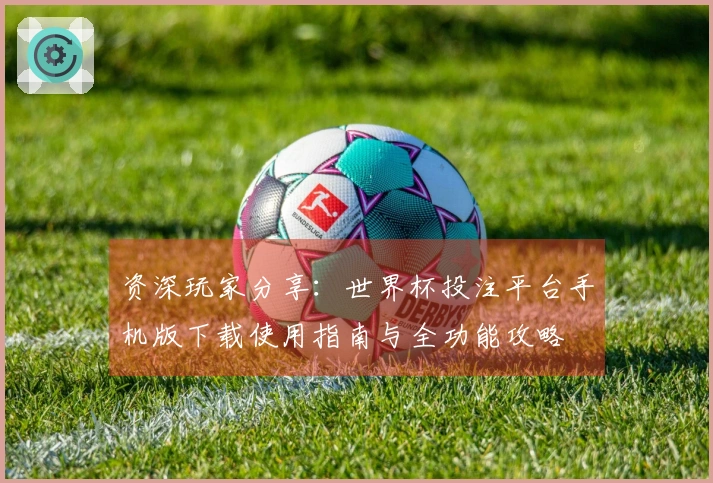 资深玩家分享：世界杯投注平台手机版下载使用指南与全功能攻略