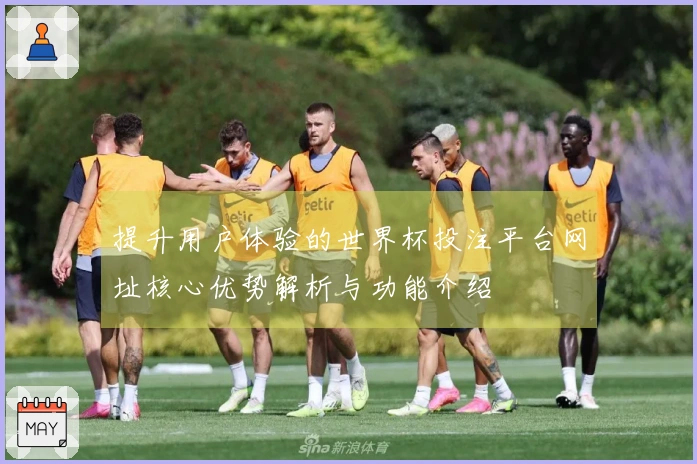 提升用户体验的世界杯投注平台网址核心优势解析与功能介绍