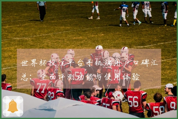 世界杯投注平台手机端用户口碑汇总：全面评测功能与使用体验