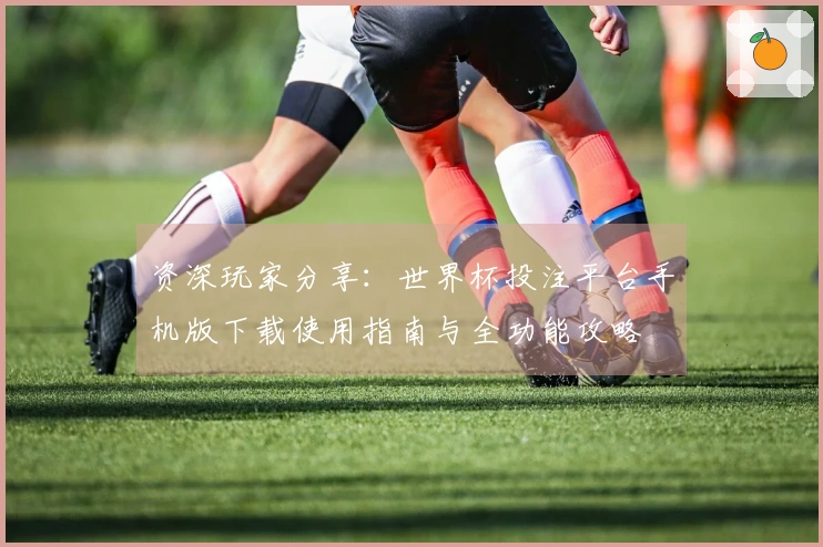 资深玩家分享：世界杯投注平台手机版下载使用指南与全功能攻略